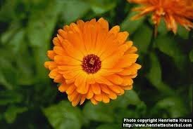 Informatie over Dementie