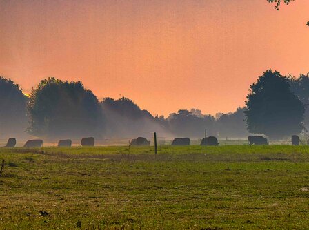 Sterk blijven als mantelzorger: 7 lessen die je n&uacute; helpen