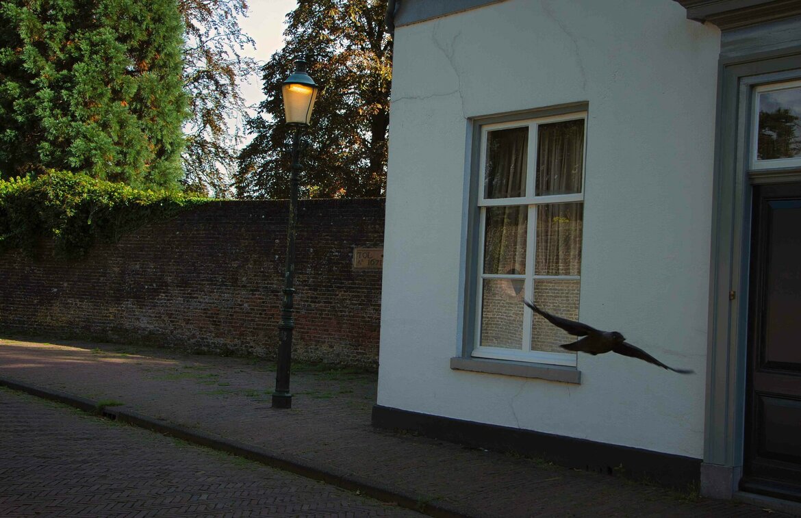 Wat-is-dementie