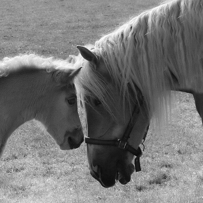Wat een voorrecht om dit werk te mogen doen