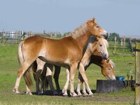 Blog 1 – Twijfel, uitputting en het moment dat je loslaat Blog 1 – Twijfel, uitputting en het moment dat je loslaat