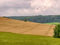 Zorgen én loslaten – hoe doe je dat? Zorgen én loslaten – hoe doe je dat?
