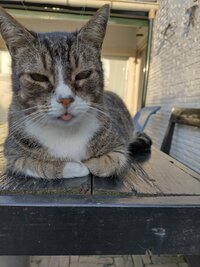 Iedere dag opnieuw bij dementie Iedere dag opnieuw bij dementie