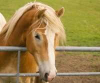 Iedere minuut is anders Iedere minuut is anders