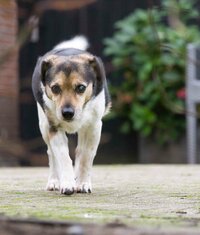 Ik ben niet alleen mantelzorger Ik ben niet alleen mantelzorger