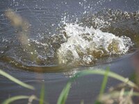 Ik kijk naar je op – Angst en mantelzorger zijn erkennen Ik kijk naar je op – Angst en mantelzorger zijn erkennen