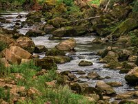 Als de rollen verschuiven Als de rollen verschuiven
