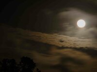 Volle maan en angst – onrust en licht bij mantelzorg Volle maan en angst – onrust en licht bij mantelzorg